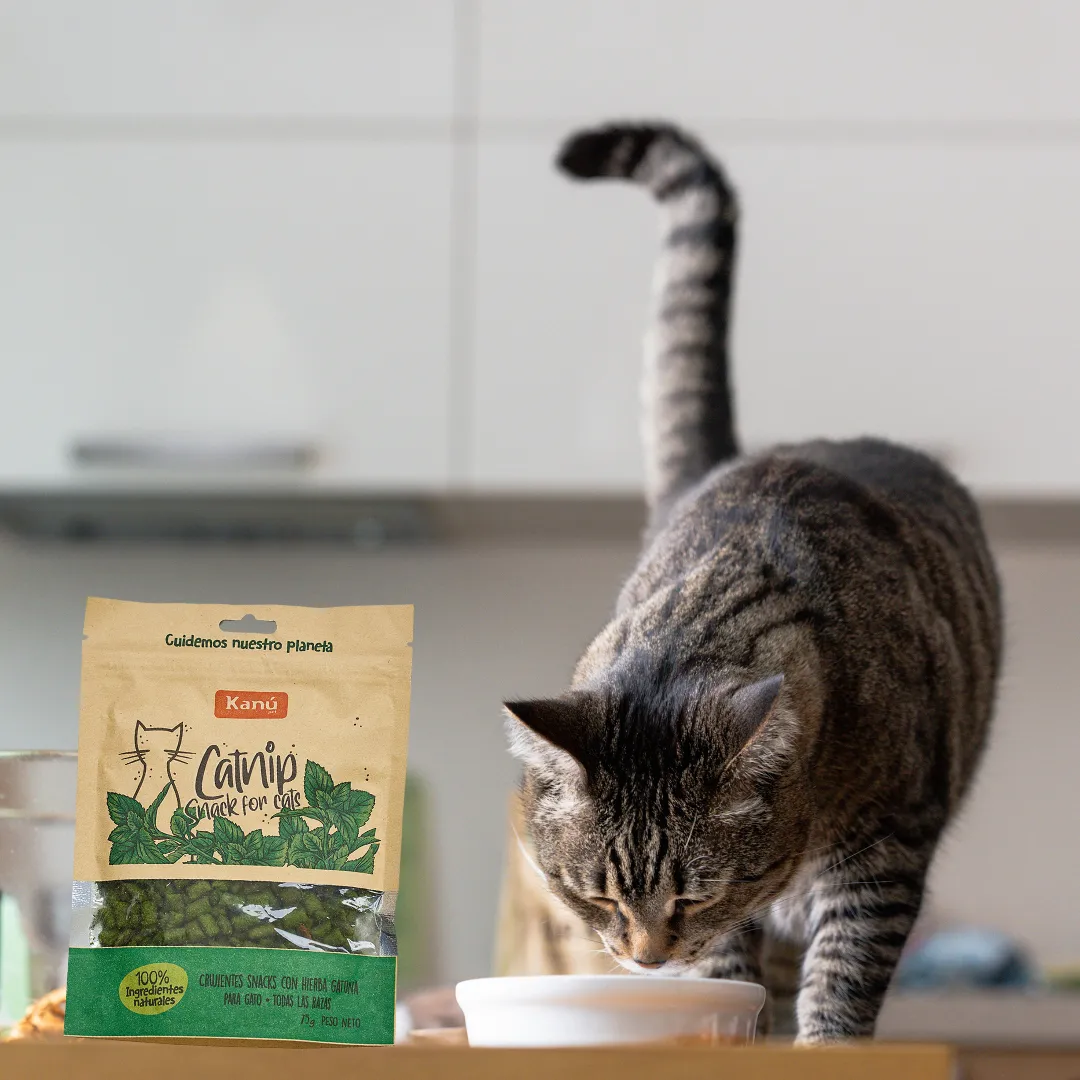 Snacks Galletas Catnip Kanu Pet para Gato - Image 5