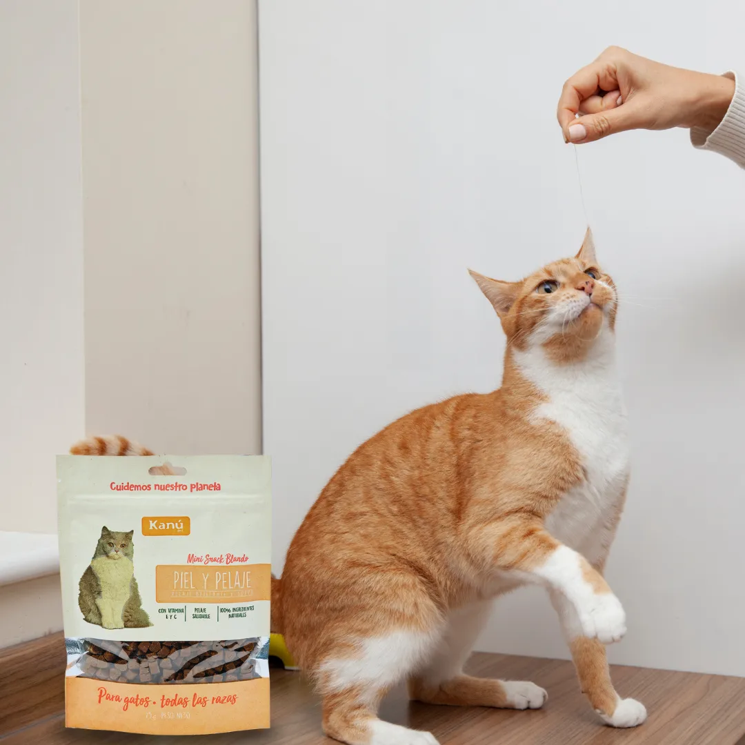 Galletas Piel y Pelaje Kanu Pet para gatos - Image 5