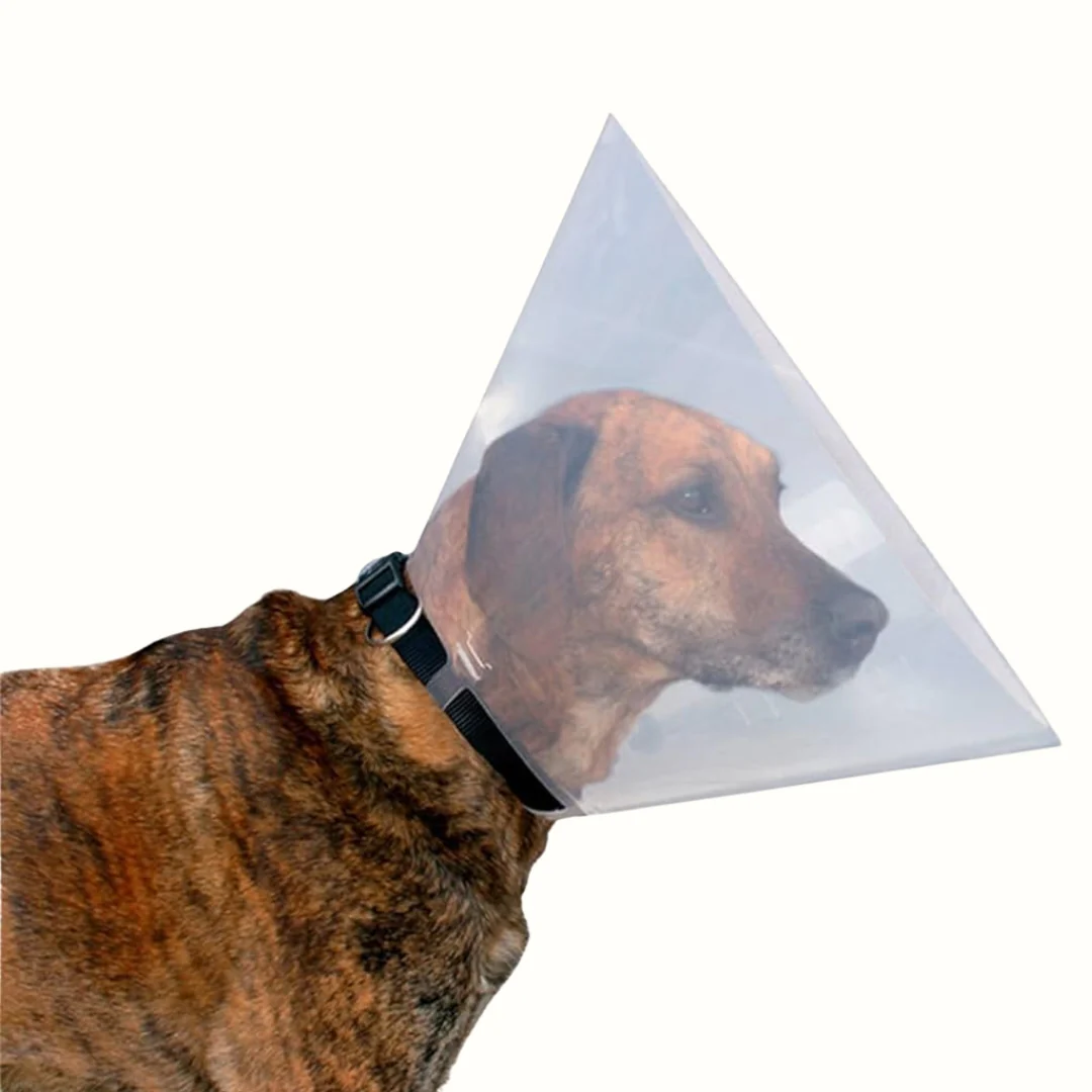 Collar Isabelino Linevet 12 5 Cm para perro - Image 2