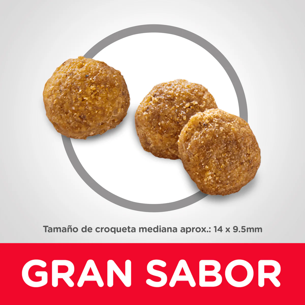 Alimento Seco Hills Adulto Original para Perro - Image 3