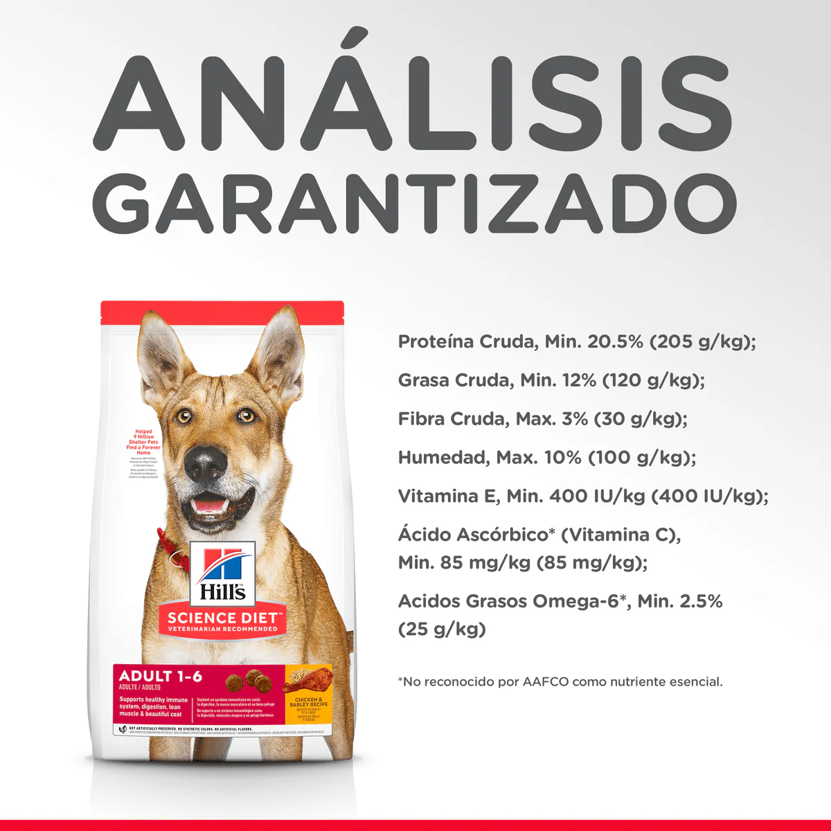 Alimento Seco Hills Adulto Original para Perro - Image 5