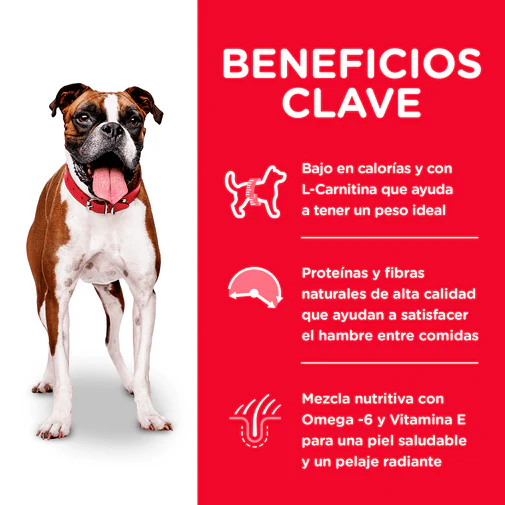 Alimento Seco Hills Canino Adulto Light para Perro - Image 4