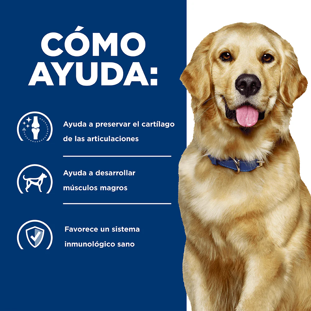 Alimento Seco Hills Canino J/D para Perro - Image 4