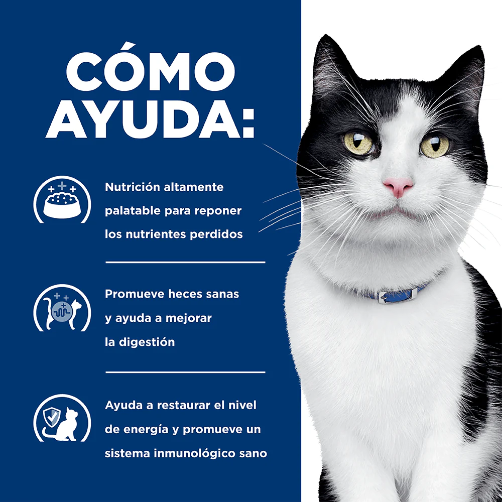 Alimento Seco Hills Felino I/D para Gato - Image 4