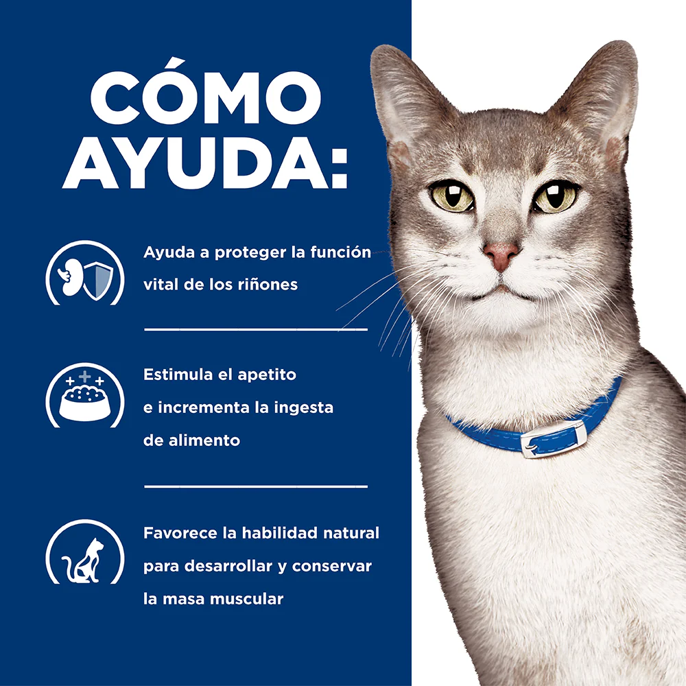 Alimento Seco Hills Felino K/D para Gato - Image 4