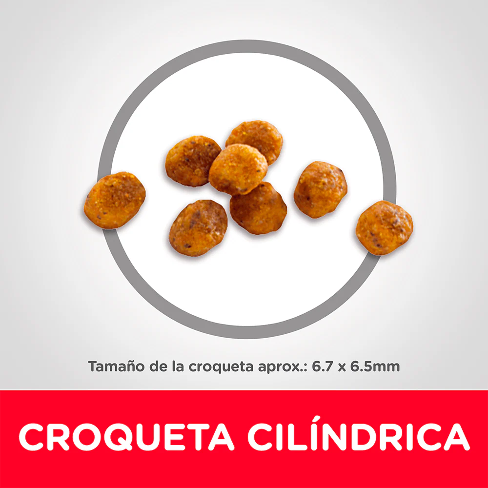 Alimento Seco Hills Felino Senior Mature para Gato - Image 3