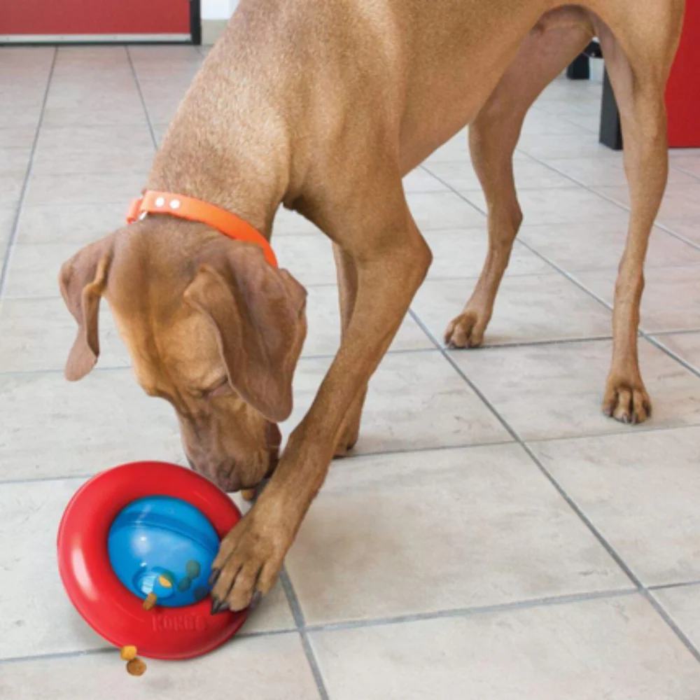 Juguete Kong Gyro Para Perro S - Image 3