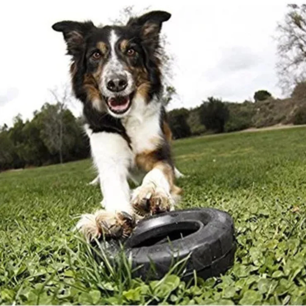 Juguete Kong Llanta Exteme Para Perro - Image 4