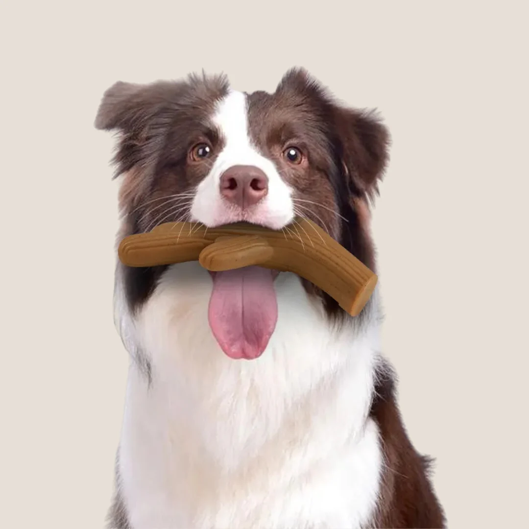 Juguete Masticable Horne Bone Sabor Carne Kanu Pet para Perro - Image 5
