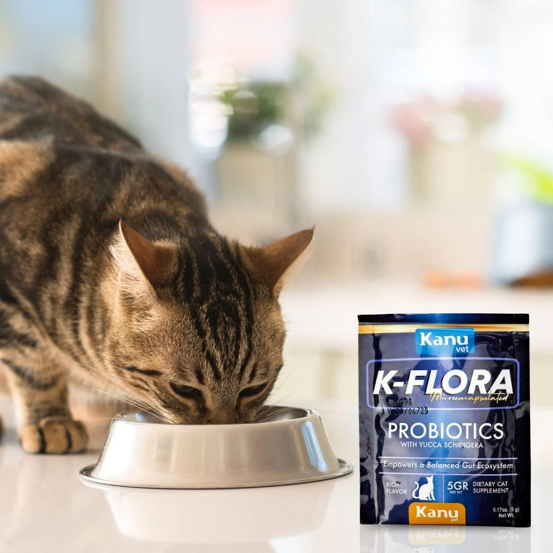 Suplemento Probiótico K-Flora Kanu Pet para Gatos - Image 5