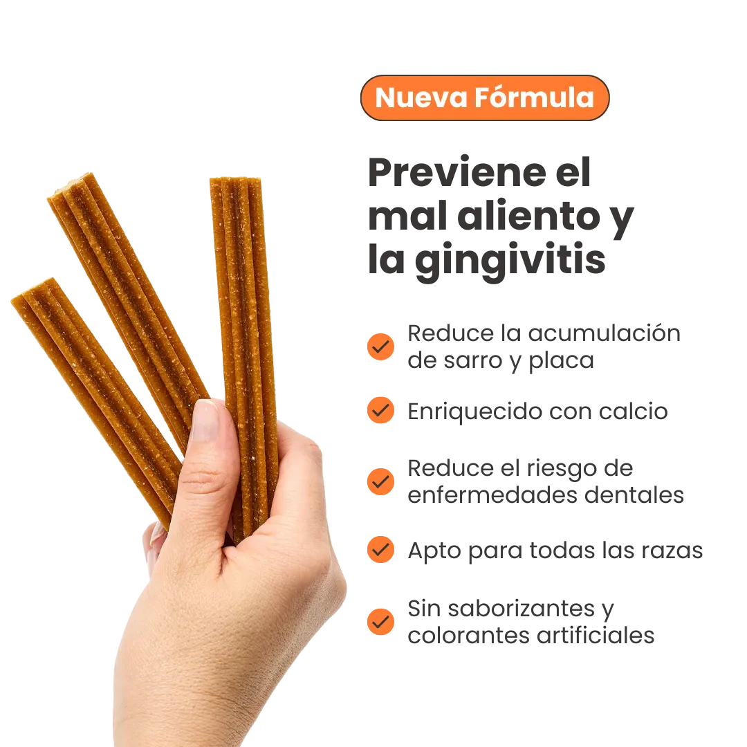Snack Dent Star para la placa y el sarro Kanu Pet Sabor a Menta para Perro - Image 6