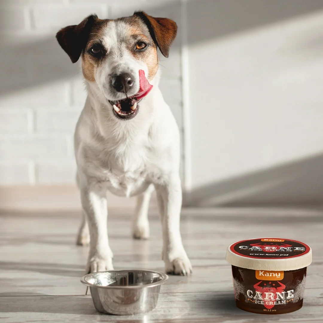 Helado Carne Kanu Pet Para Perro y Gato - Image 5