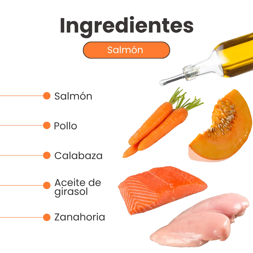 Alimento Húmedo Completo Chef's Recipe Salmón Kanu Pet para Perros - Image 3