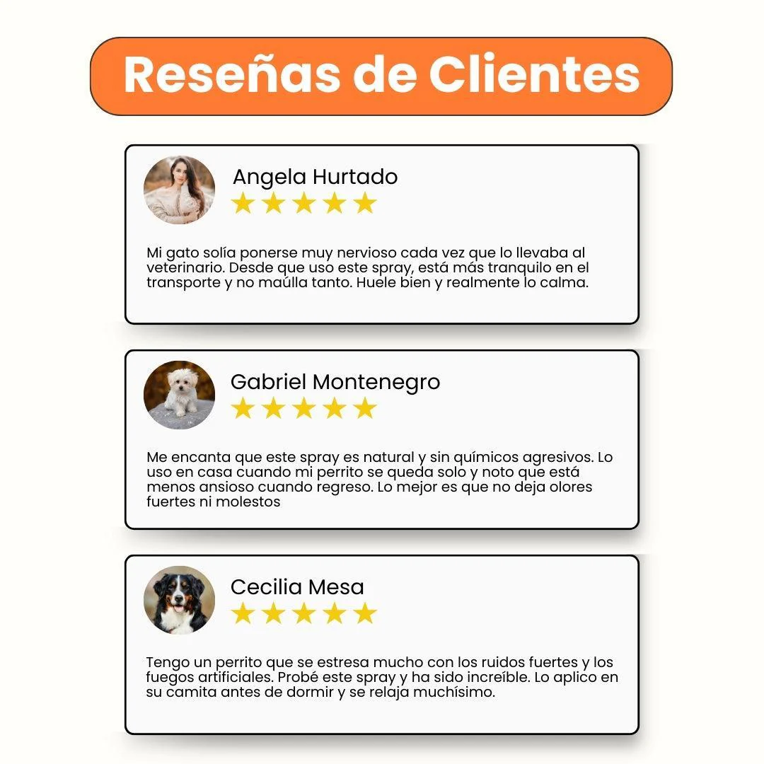 Spray Relajante de CBD Good Vibes para perro y gatos - Image 4
