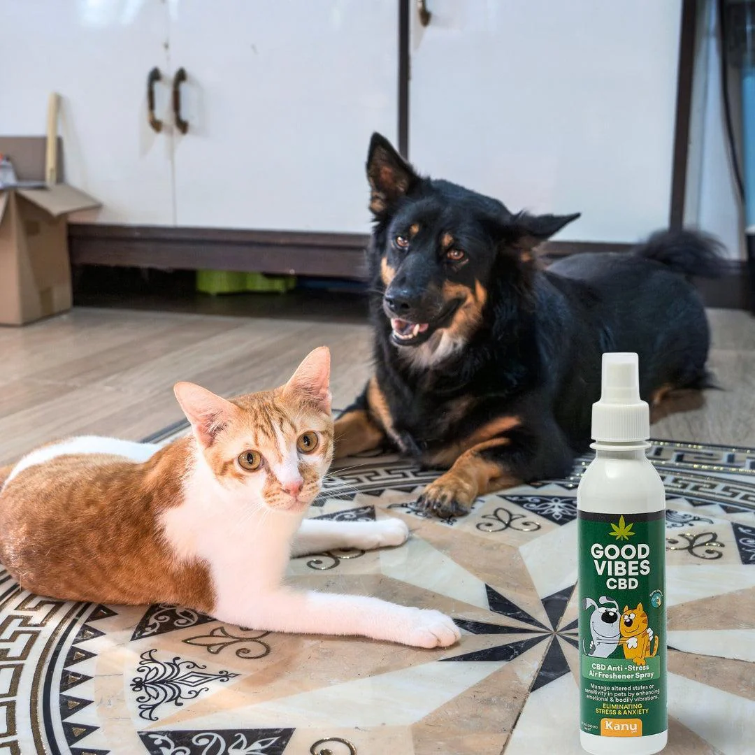 Spray Relajante de CBD Good Vibes para perro y gatos - Image 5