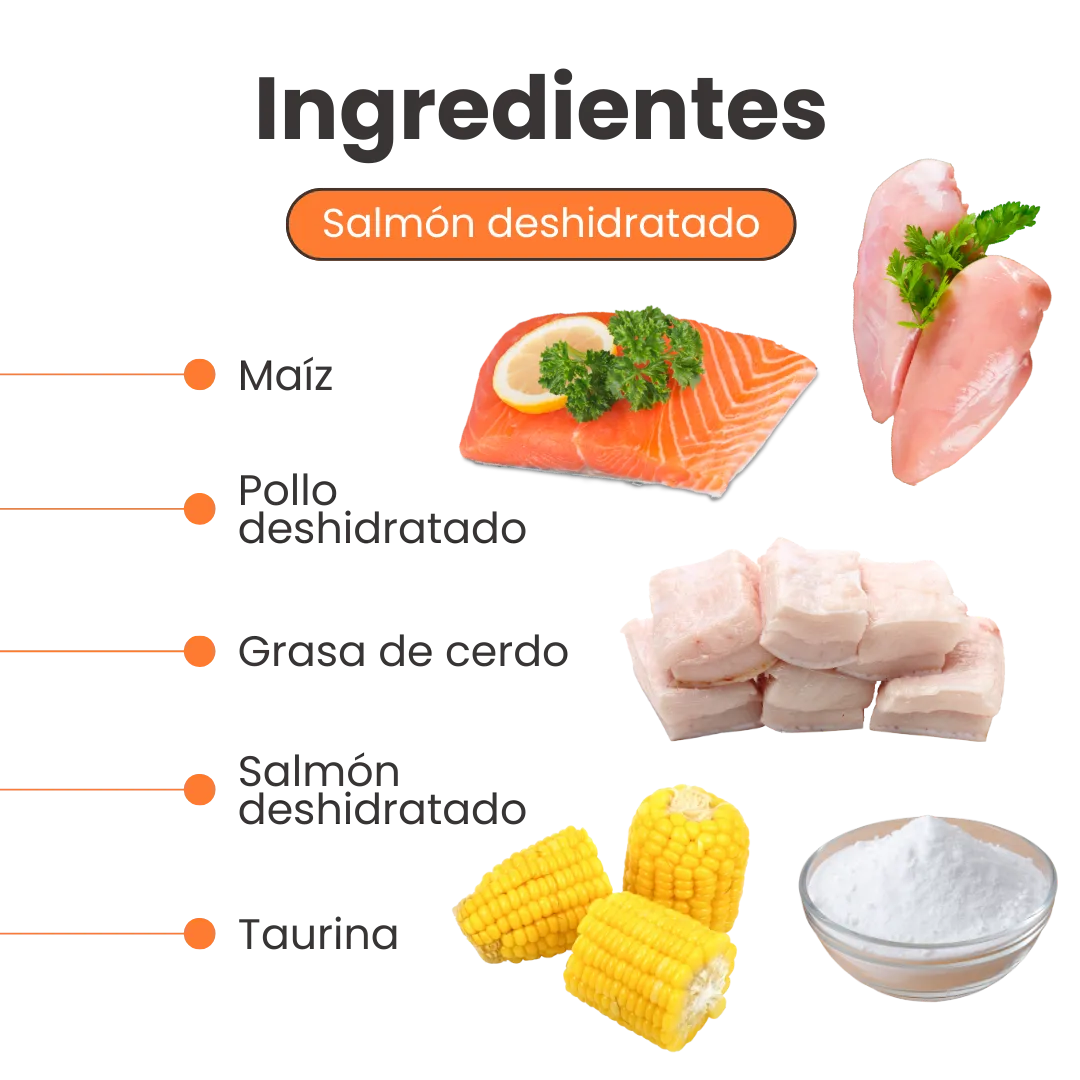 Snack Nuggets de Salmón Kanu Pet para Gato - Image 3
