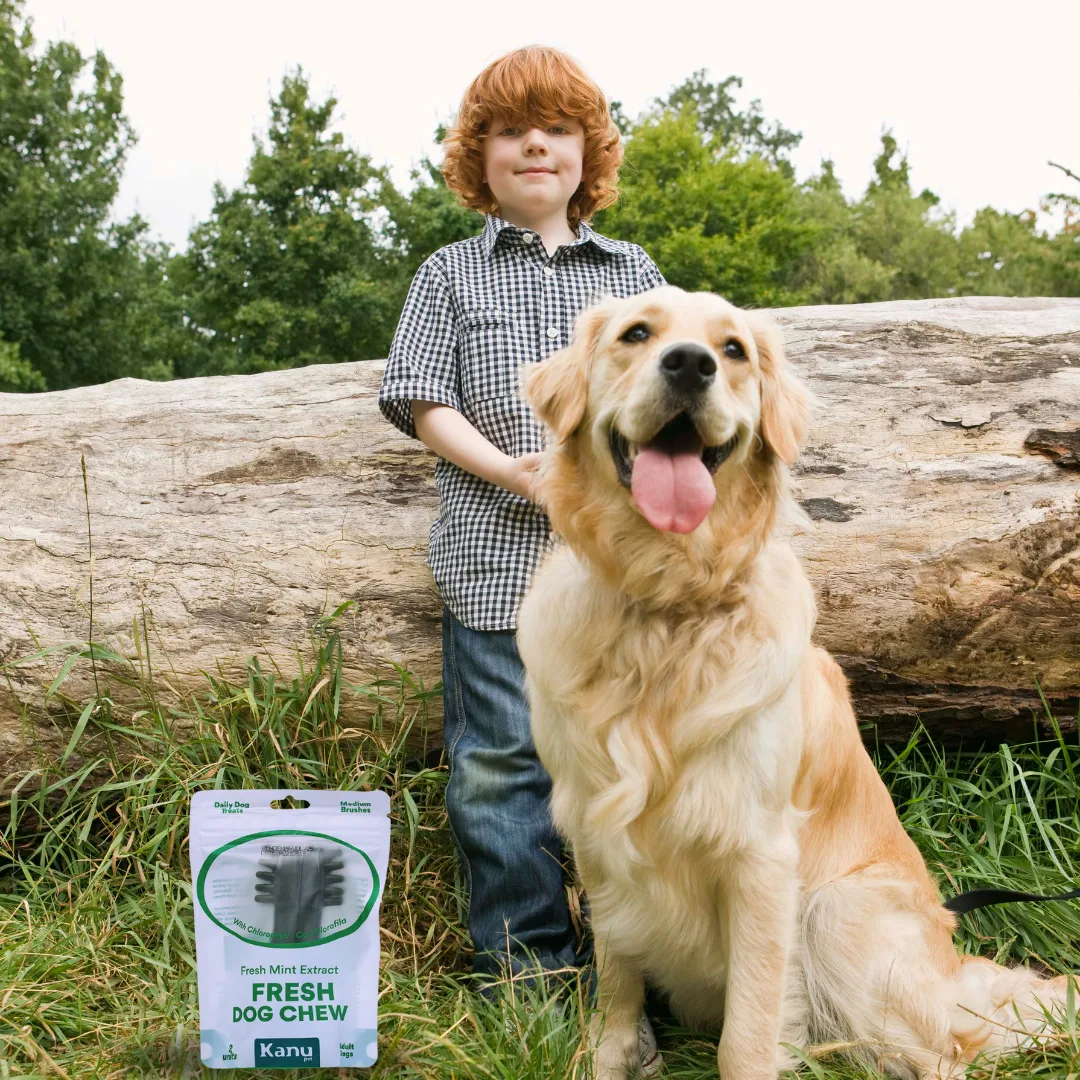 Snack Cepillo Dental Fresh Medium Kanu Pet para Perros Sabor a Menta - Image 5