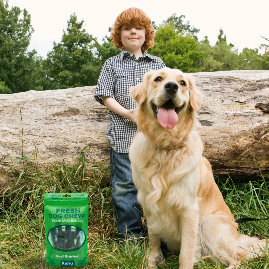 Snack Cepillo Dental Fresh Small Kanu Pet para Perros Sabor a Menta - Image 5