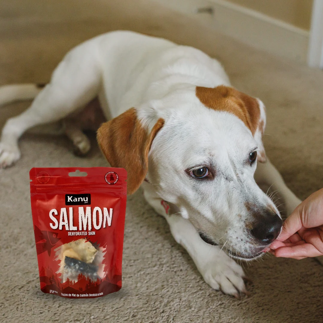 Snack de Kanu Pet de Salmón Deshidratado Trozos para perros y gatos 100% Natural Un solo ingrediente - Image 5