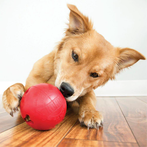 Pelota caucho kong porta pasab para perro - Image 3