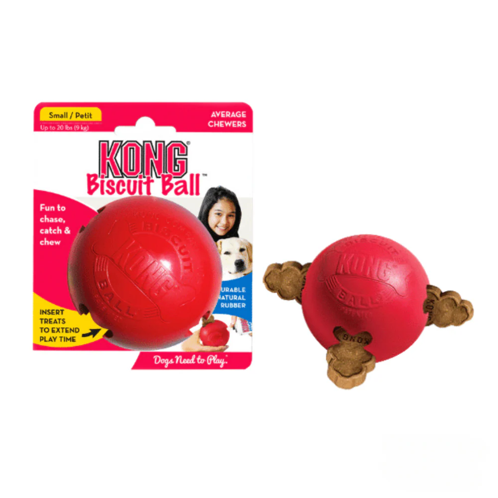 Pelota caucho kong porta pasab para perro - Image 4