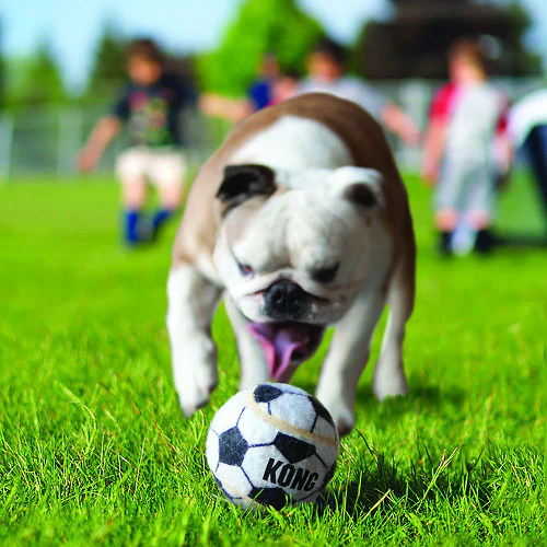 Pelota perro sports balls kong x 3 para perro - Image 2