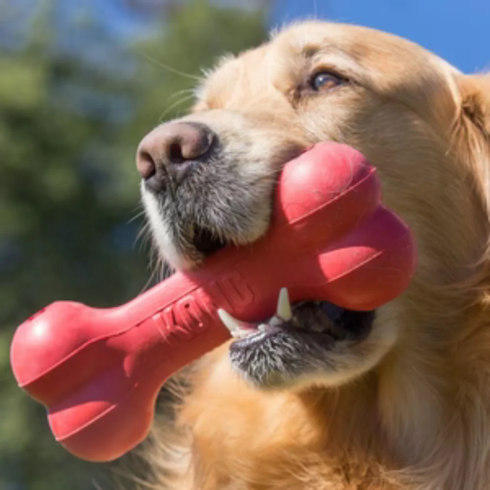 Portapasabocas kong hueso classic para perro - Image 2