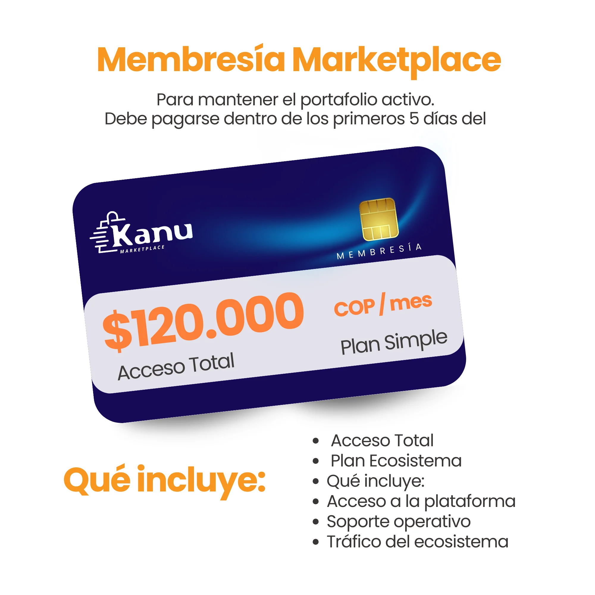 Membresía Marketplace Plan Simple - Image 2
