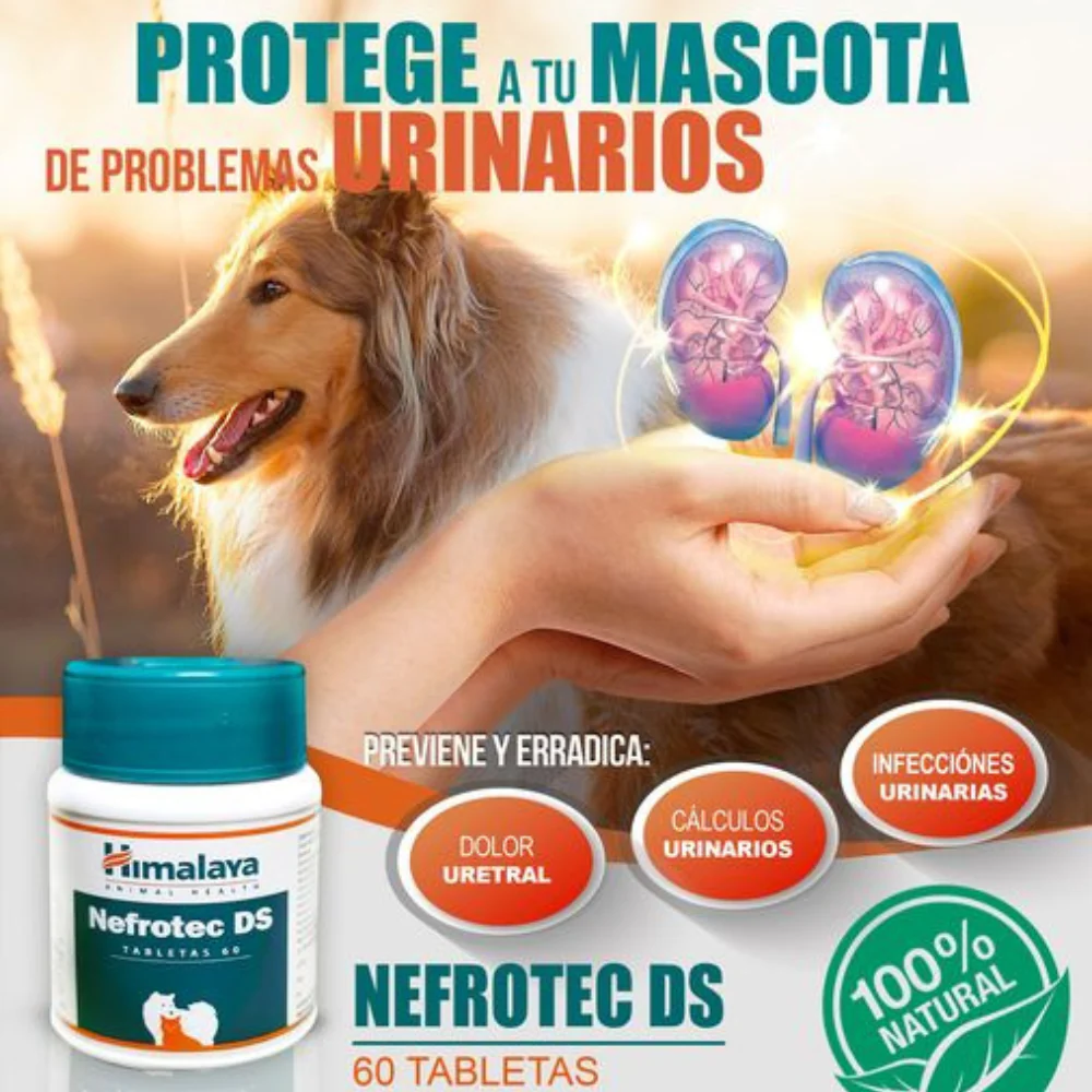 Nefrotec Fco x 60 Tabs para todos - Image 2