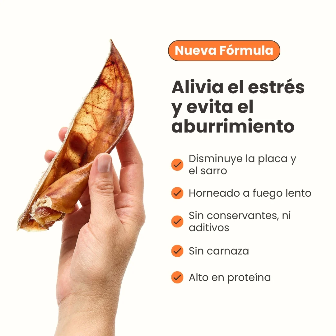 Snack Oreja de Cerdo Deshidratada Kanu Pet para Perro - Image 6