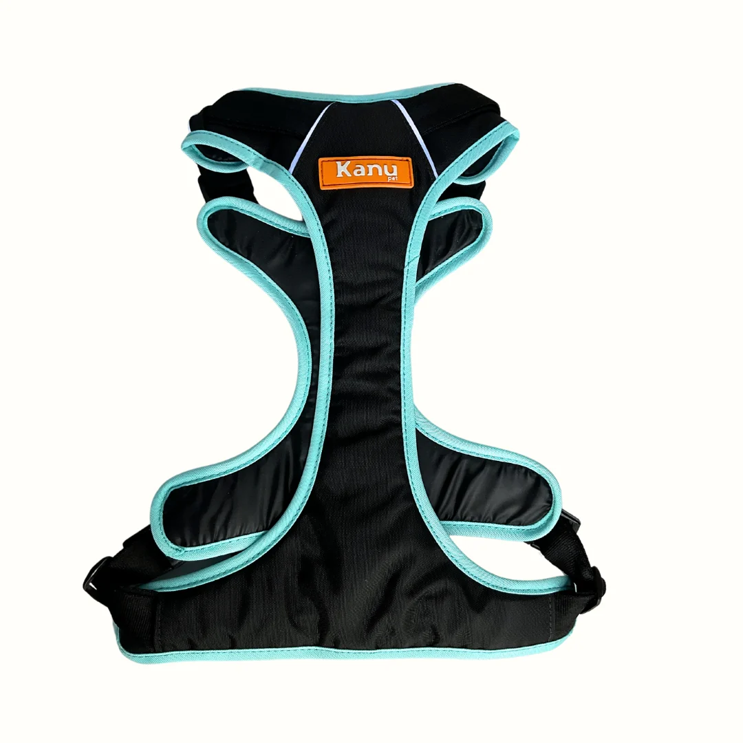 Pechera 4 estaciones Negro / Verde Menta Kanu Pet para Perro - Image 2