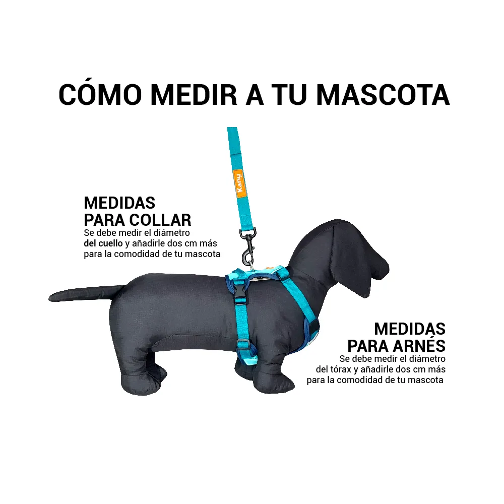 Pechera Acolchada Walker Azul Kanu Pet para Perro - Image 3