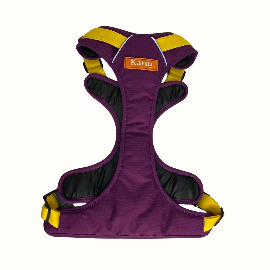 Pechera Mini Walker Barny / Amarillo Kanu Pet para Perro - Image 2