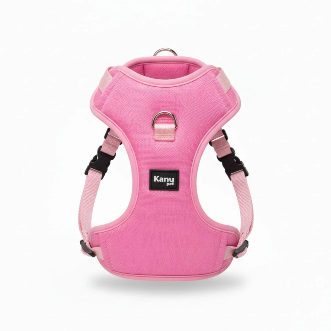 Pechera Rosa Fucsia Kanu Pet para Perro