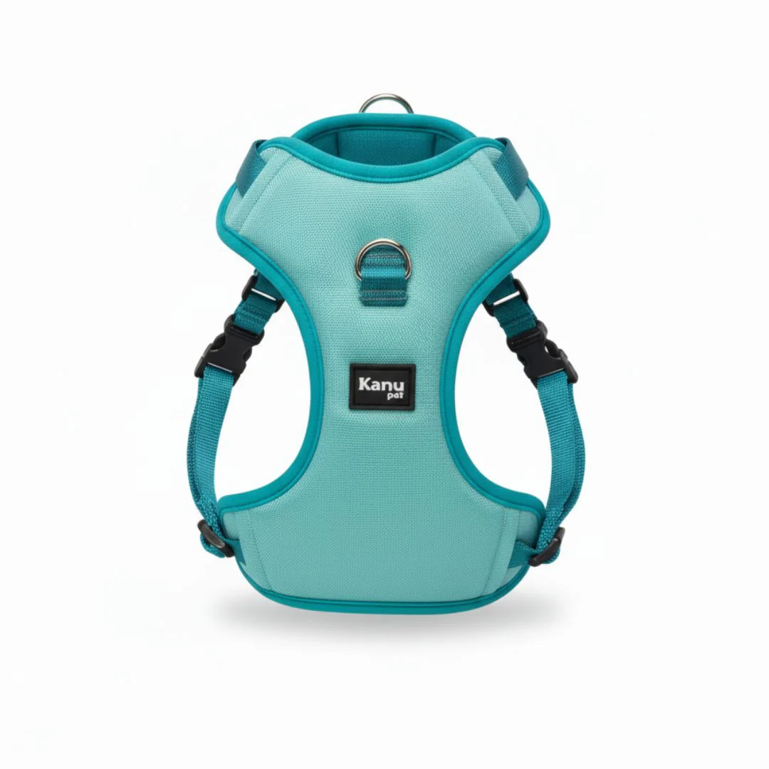 Pechera Verde Aguamarina Kanu Pet para Perro
