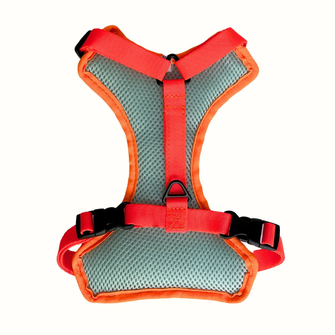 Pechera Verde Menta / Naranja Neon Kanu Pet para Perro - Image 2