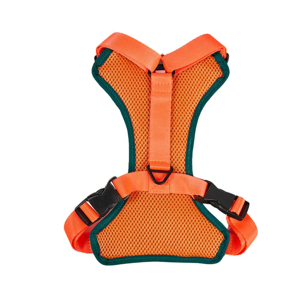 Pechera Verde / Naranja Kanu Pet para Perro - Image 2