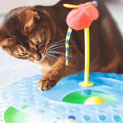 Gimnasio Gato Huecos Persecucion para gatos - Image 2