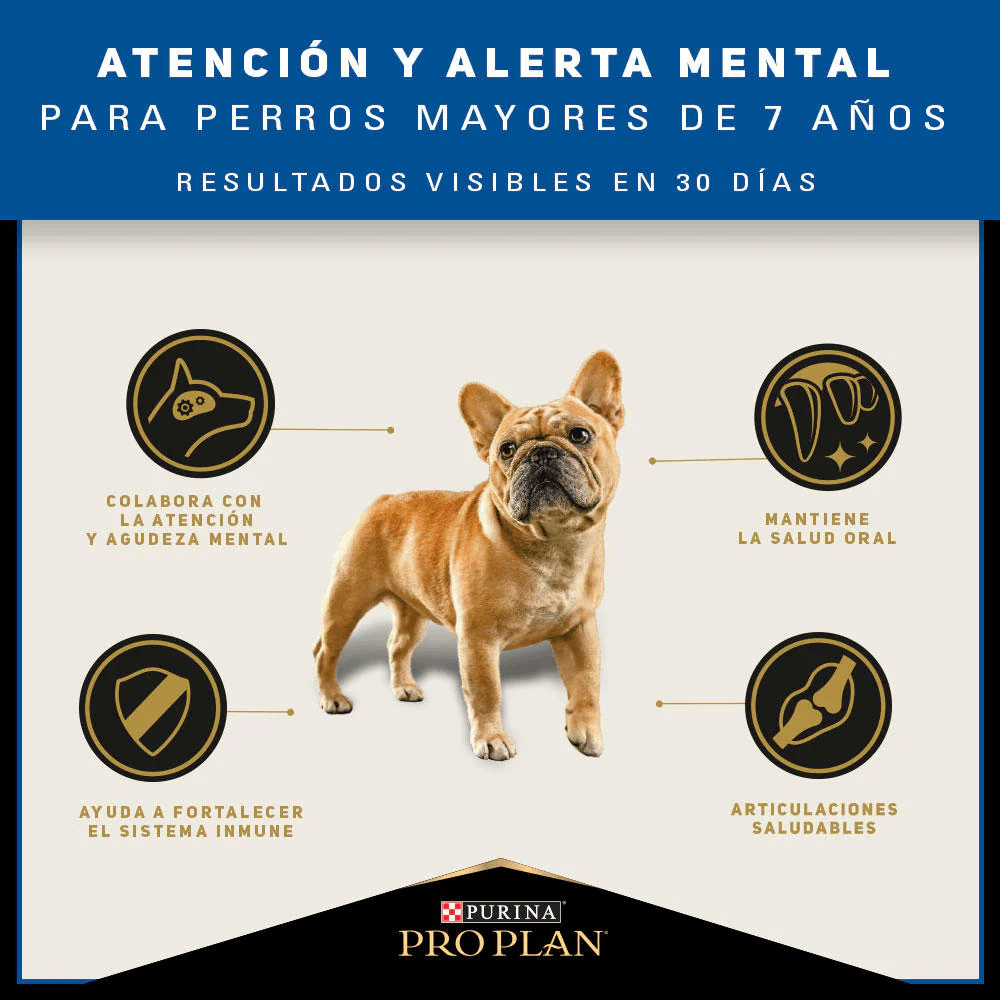 Alimento Seco Proplan 7 Small Breed para perro - Image 3