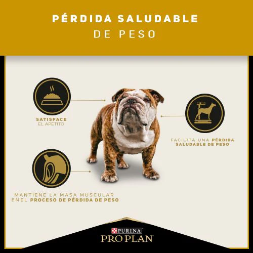 Alimento Seco Proplan Reduced Calorie para Perro - Image 3