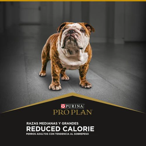 Alimento Seco Proplan Reduced Calorie para Perro - Image 4