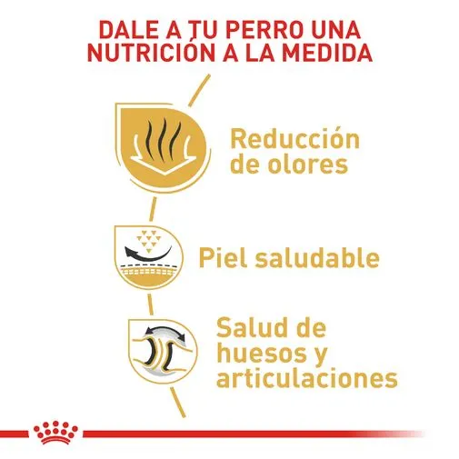 Alimento para perro Royal Canin Bulldog - Image 4