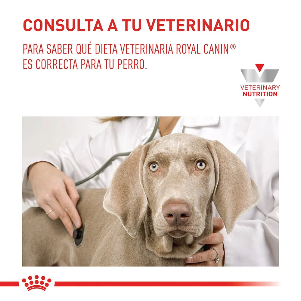 Alimento para perro Royal Canin Hepatic - Image 2