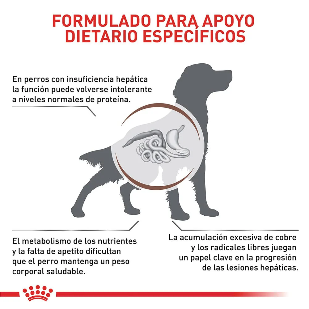 Alimento para perro Royal Canin Hepatic - Image 3