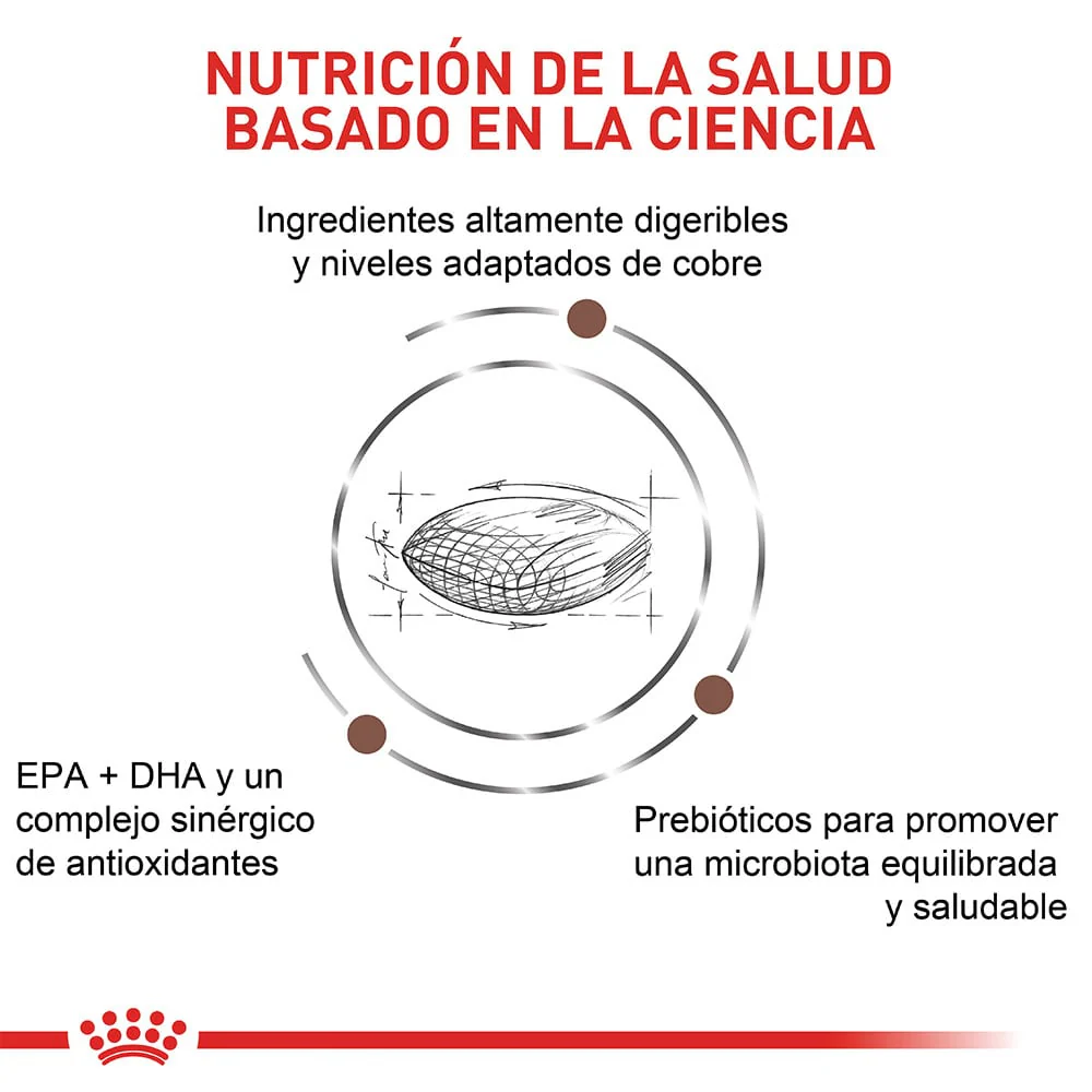 Alimento para perro Royal Canin Hepatic - Image 4