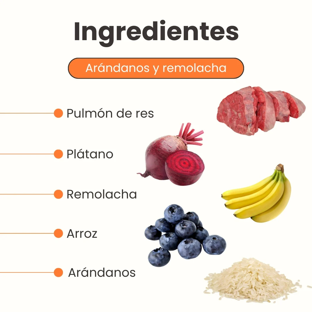 Snack Liofilizado Tasty Cubes Arándanos y Remolacha para Gatos Bajas en Calorías - Image 3