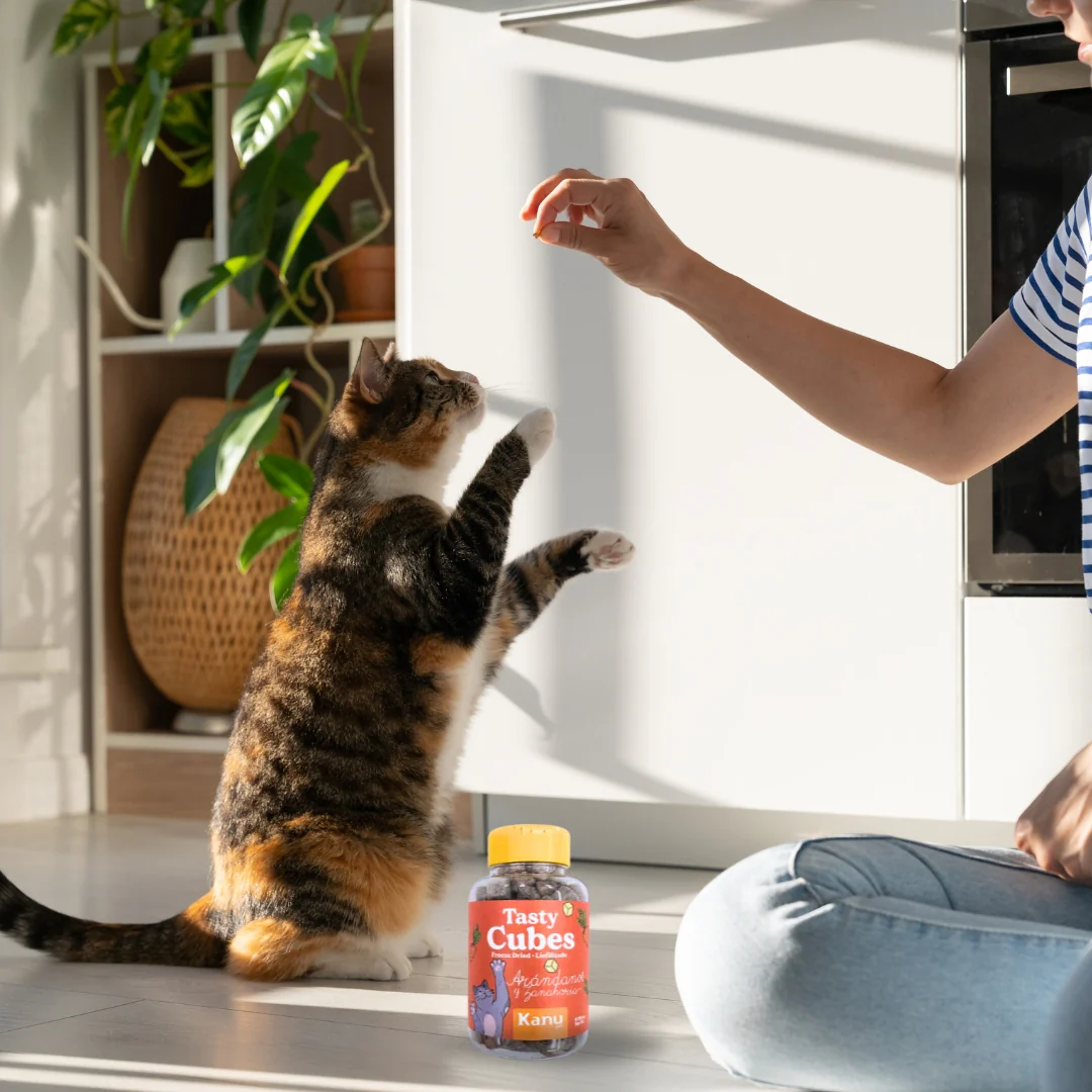 Snack Liofilizado Tasty Cubes Arándanos y Zanahoria Kanu Pet para Gatos Bajas en Calorías - Image 5