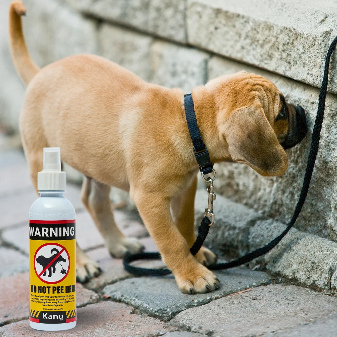 Spray de Adiestramiento  Don't Pee Here de Kanu Pet  para perros y gatos 100% Natural - Image 5