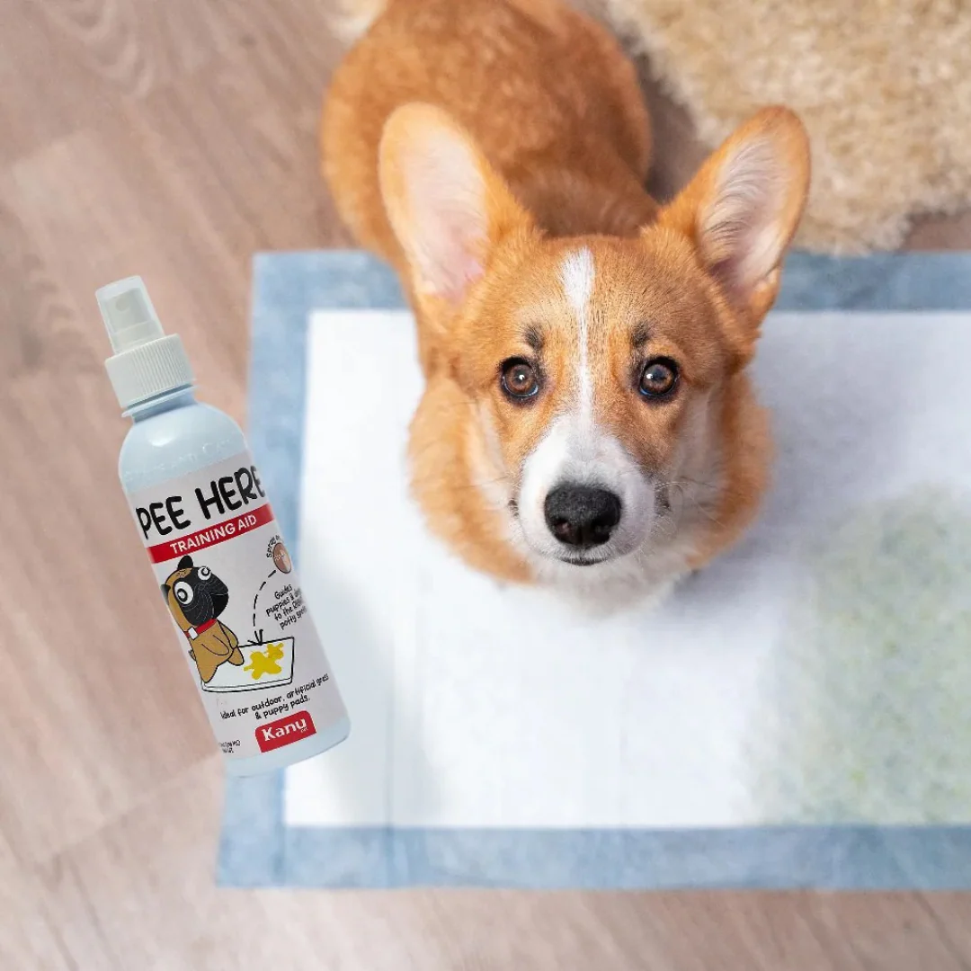 Spray de Adiestramiento Pee Here de Kanu Pet para perros y gatos 100% Natural - Image 5