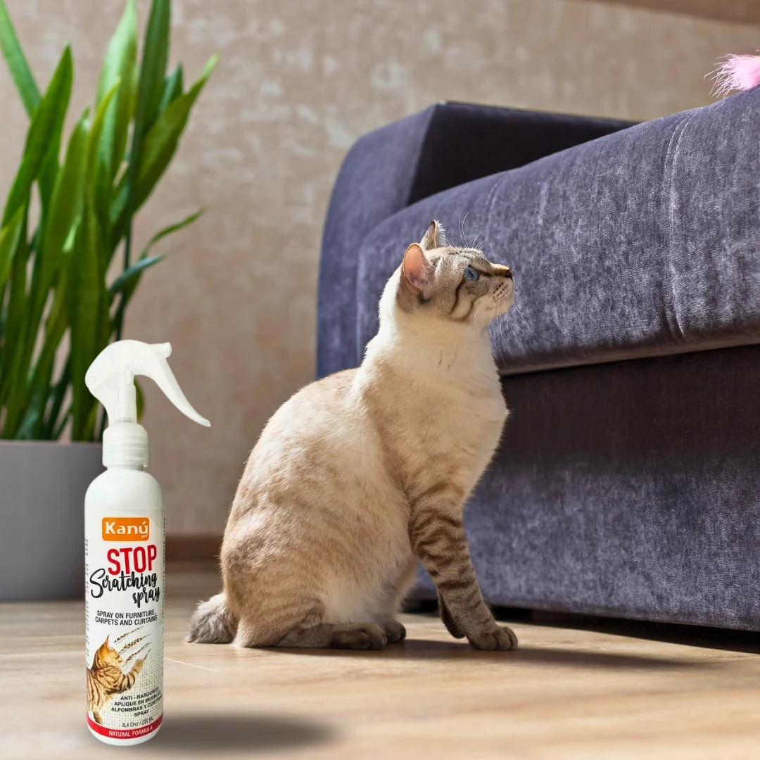 Spray de Entrenamiento Stop Scratching Kanu Pet para Gato - Image 5